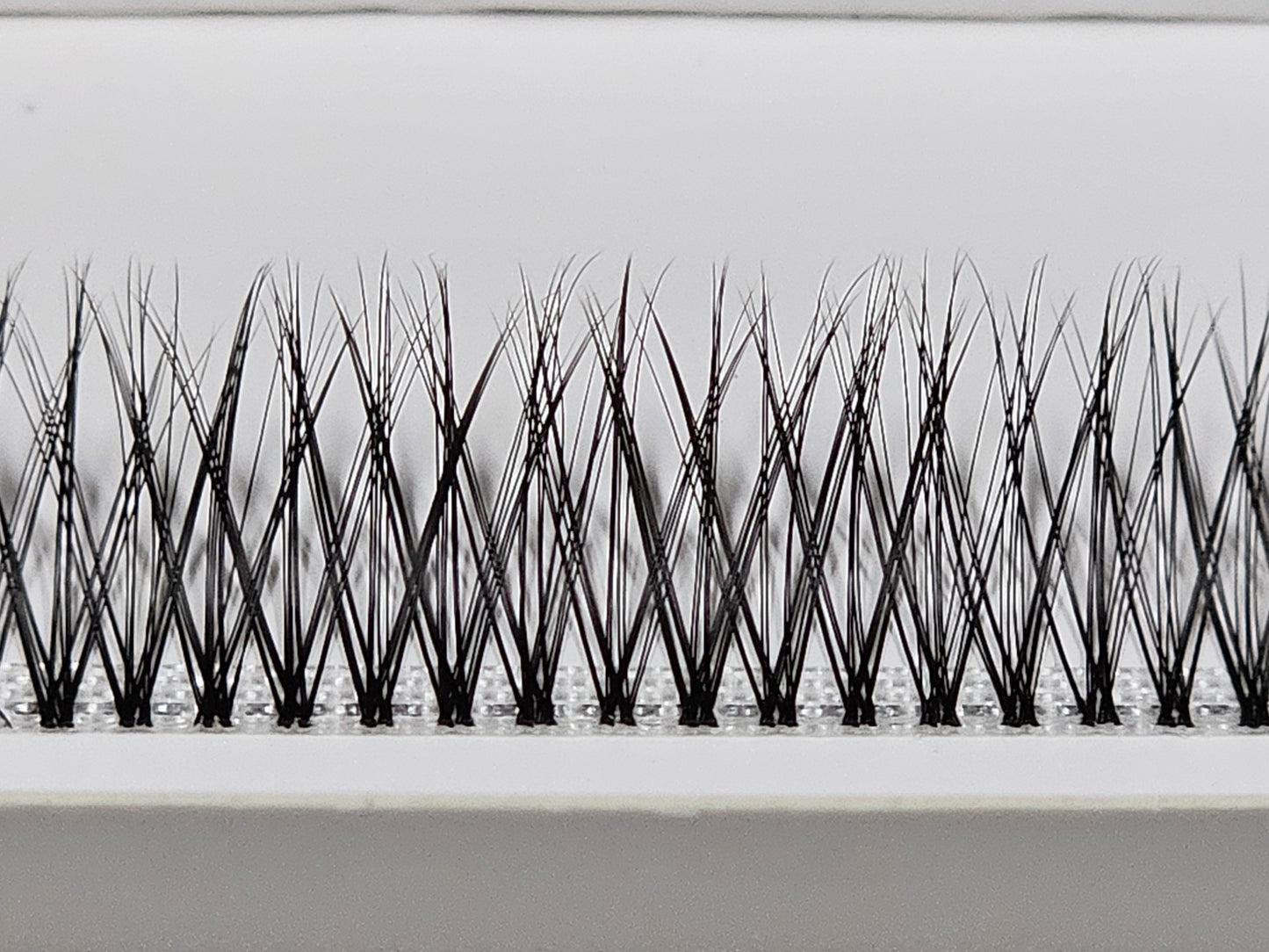 Natural Volume DIY Lashes